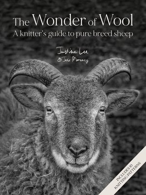 cover image of The Wonder of Wool